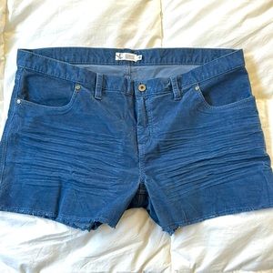 New Carve Designs Shorts